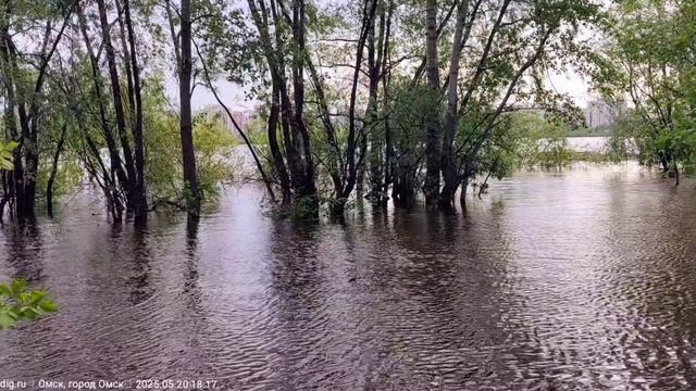 Зеленый остров Омск. Иртыш вышел из берегов. 21 мая 2025 года.
