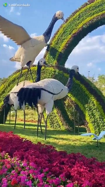 В Куньмине (Китай) было посажено 100 цветочных клумб