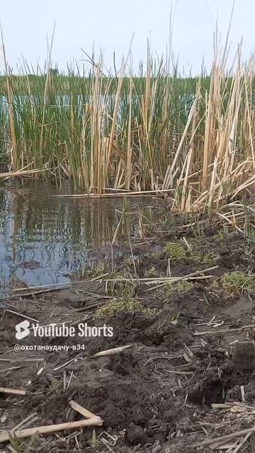 1000139910.mp4