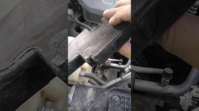 VID_20250521_110410.mp4