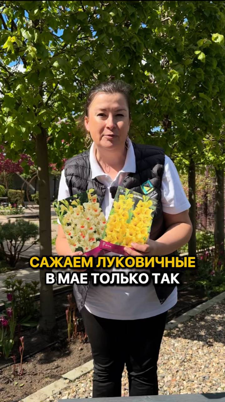 ПРАВИЛЬНО сажаем луковичные В МАЕ.
