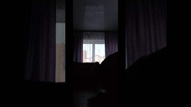 1000012778.mp4