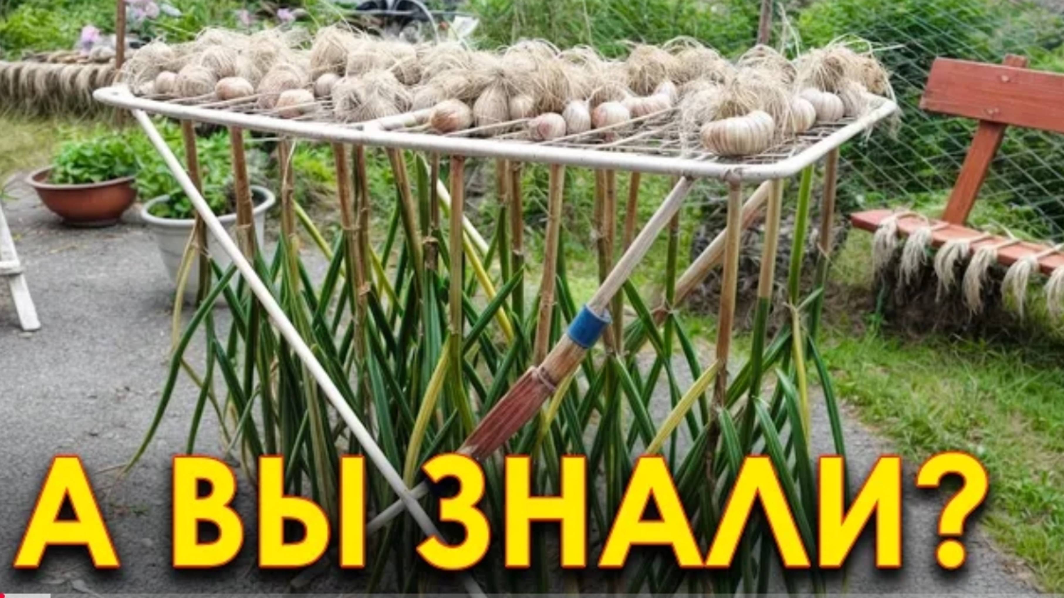 ХИТРОСТИ дачников и ИДЕИ для ОГОРОДА | ЛАЙФХАКИ