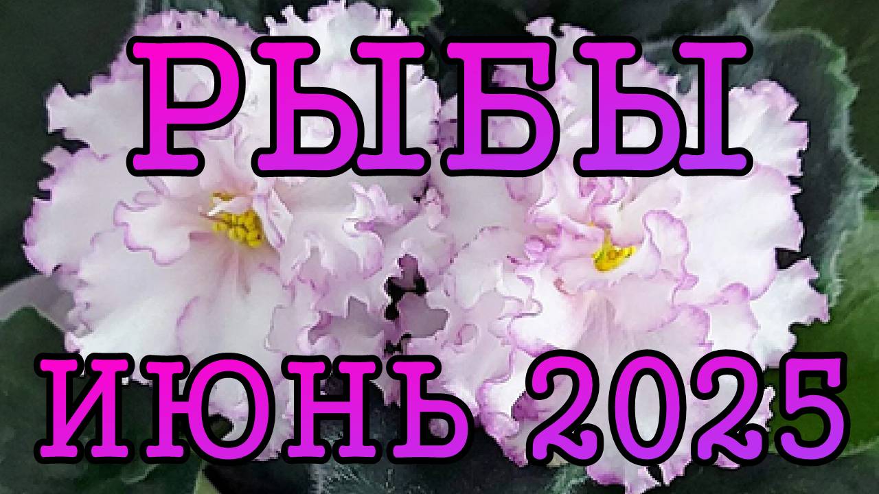 РЫБЫ таро прогноз на ИЮНЬ 2025 года.