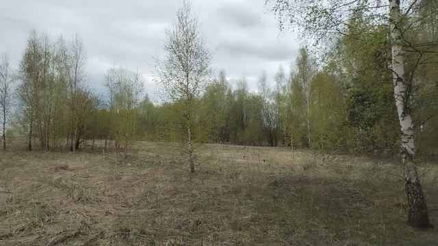 решение о проведении торгов 50:04:0240302:720