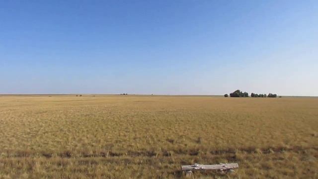 Городок фестиваля тюльпанов в Куриловской степи, Ново