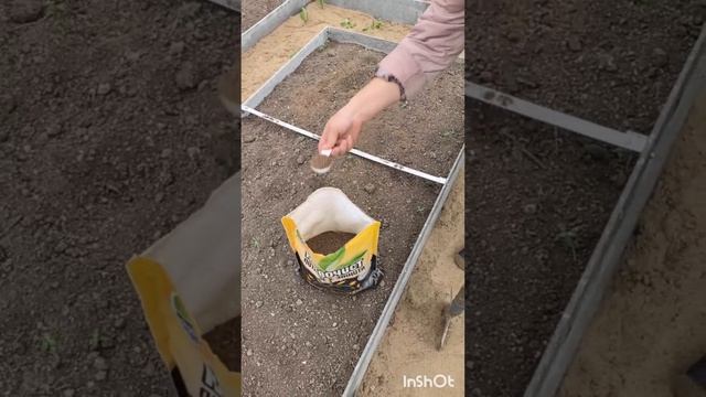 Подготовка теплицы к посадке