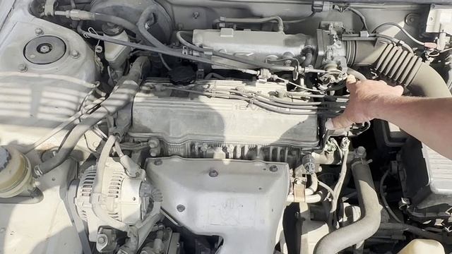 share SV40-0079901