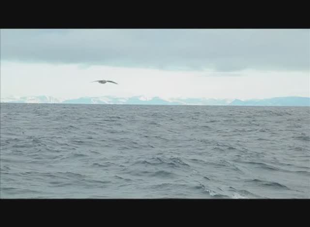 "Хождение за три моря Игоря Емельянова" (2012)