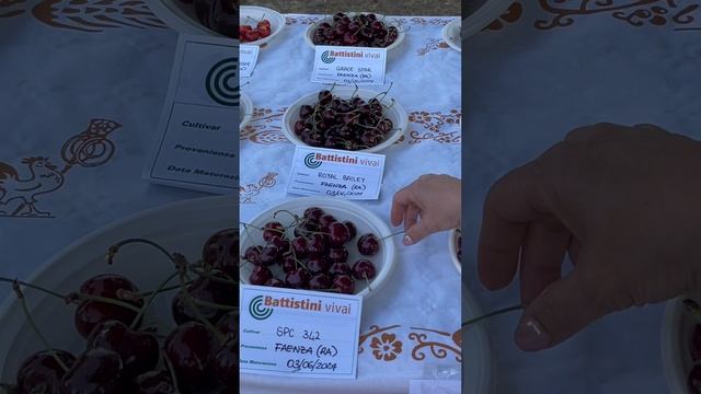 Обзор черешни, часть 9