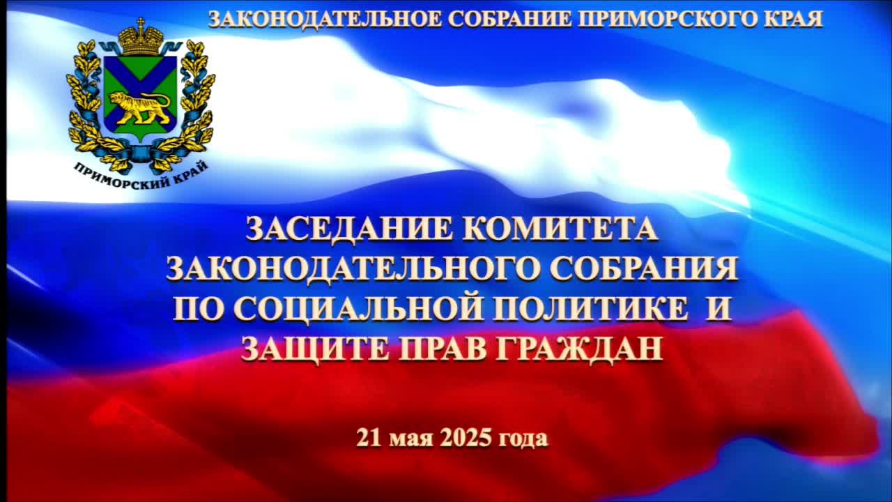 Заседание комитета по социальной политике и защите прав граждан 21.05.2025