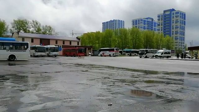 Выпьем чаю под дождём