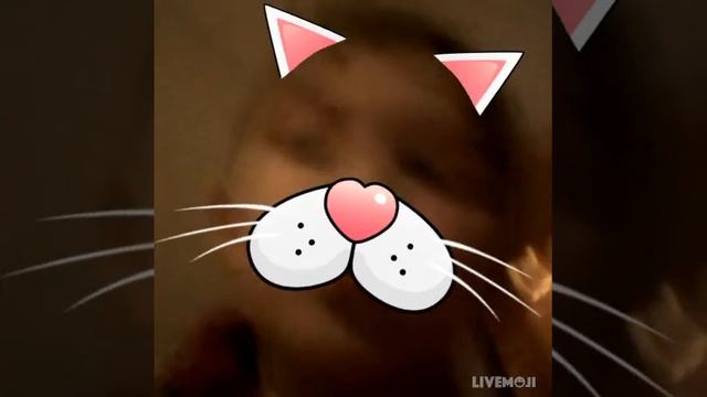 Пятая часть маленький прикол