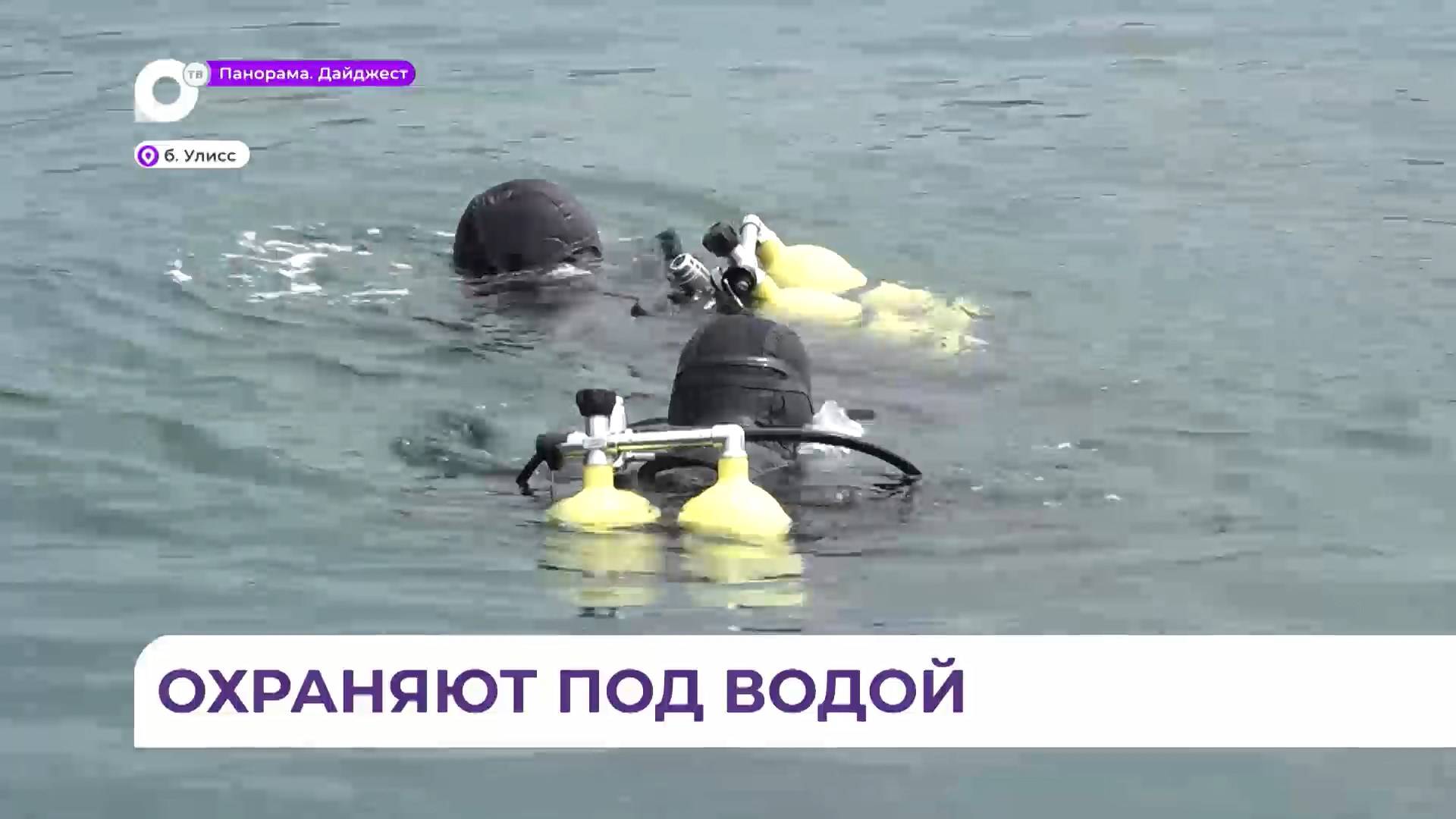 Тренировка водолазов ТОФ по борьбе с подводными диверсантами прошла успешно