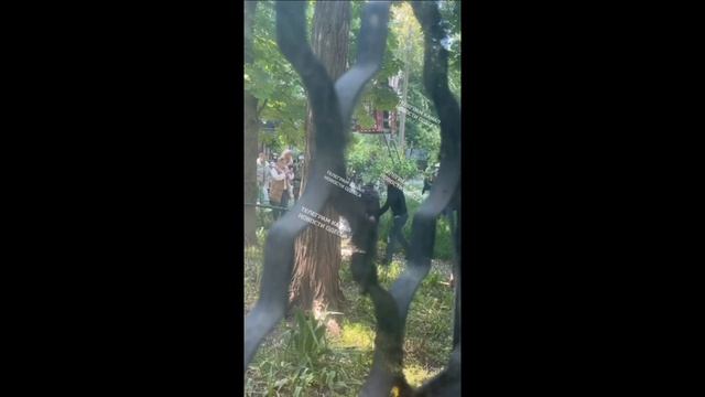 ТЦКшники Загнали Парня На Дерево! #2