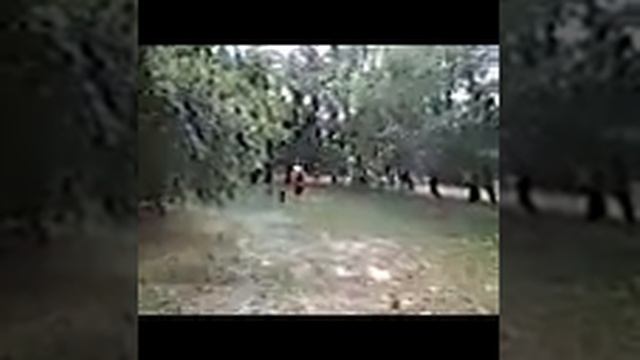 ХА-ХА! Мега прикол! Мальчик-Маугли!