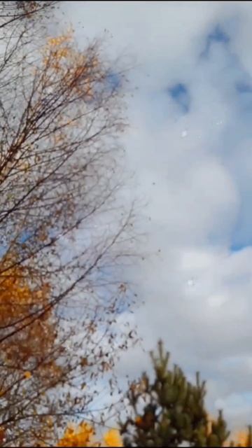 Не верь другим