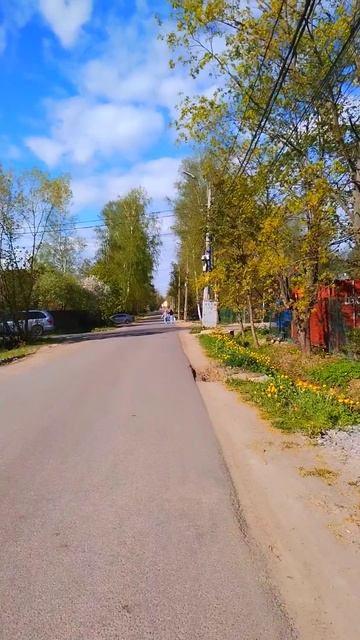 Петро-Славянка, ул. Коммунаров, 20 мая 2025.