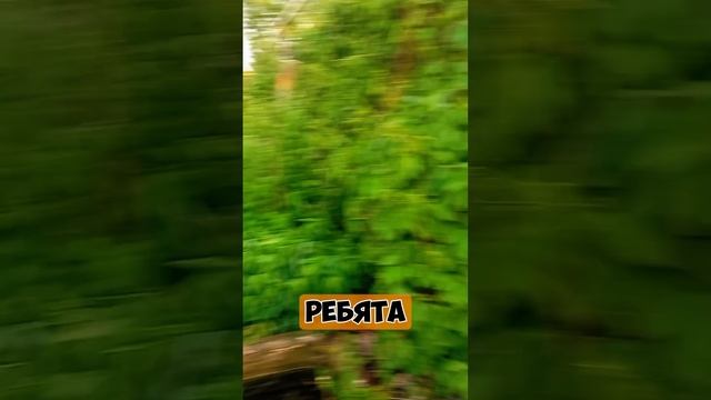 Мамка хулиганка