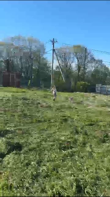 1000371921.mp4