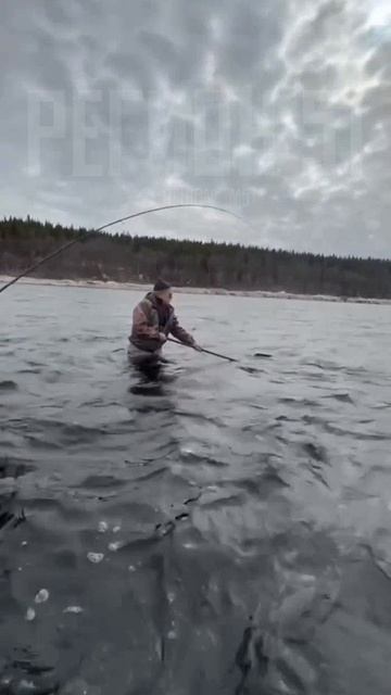 1000015586.mp4