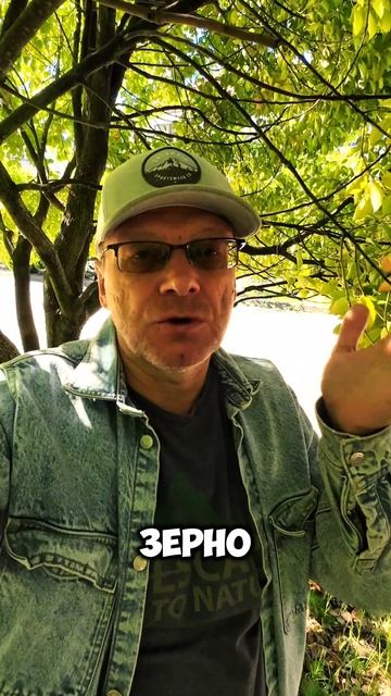 что такое время
