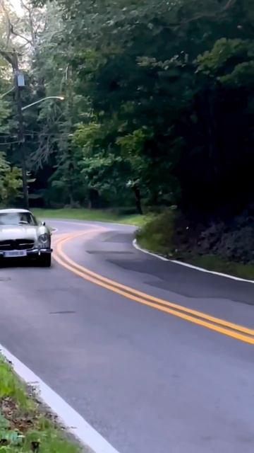 1000193218.mp4