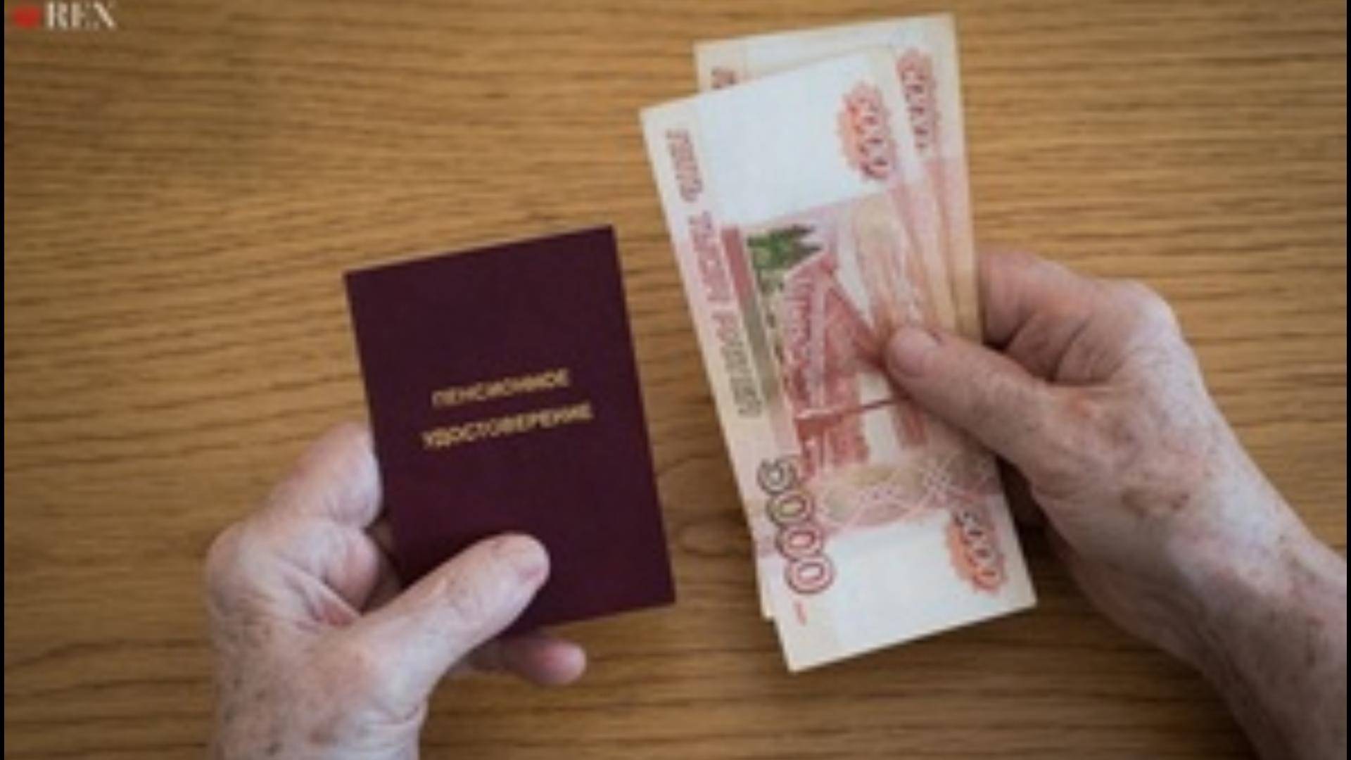 Журналист предложил лишить бездетных россиян пенсий