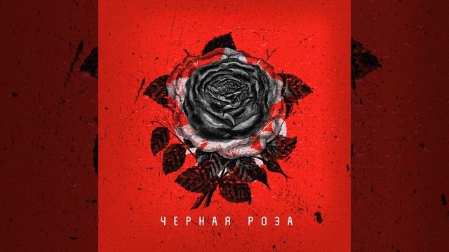 Чёрная роза
