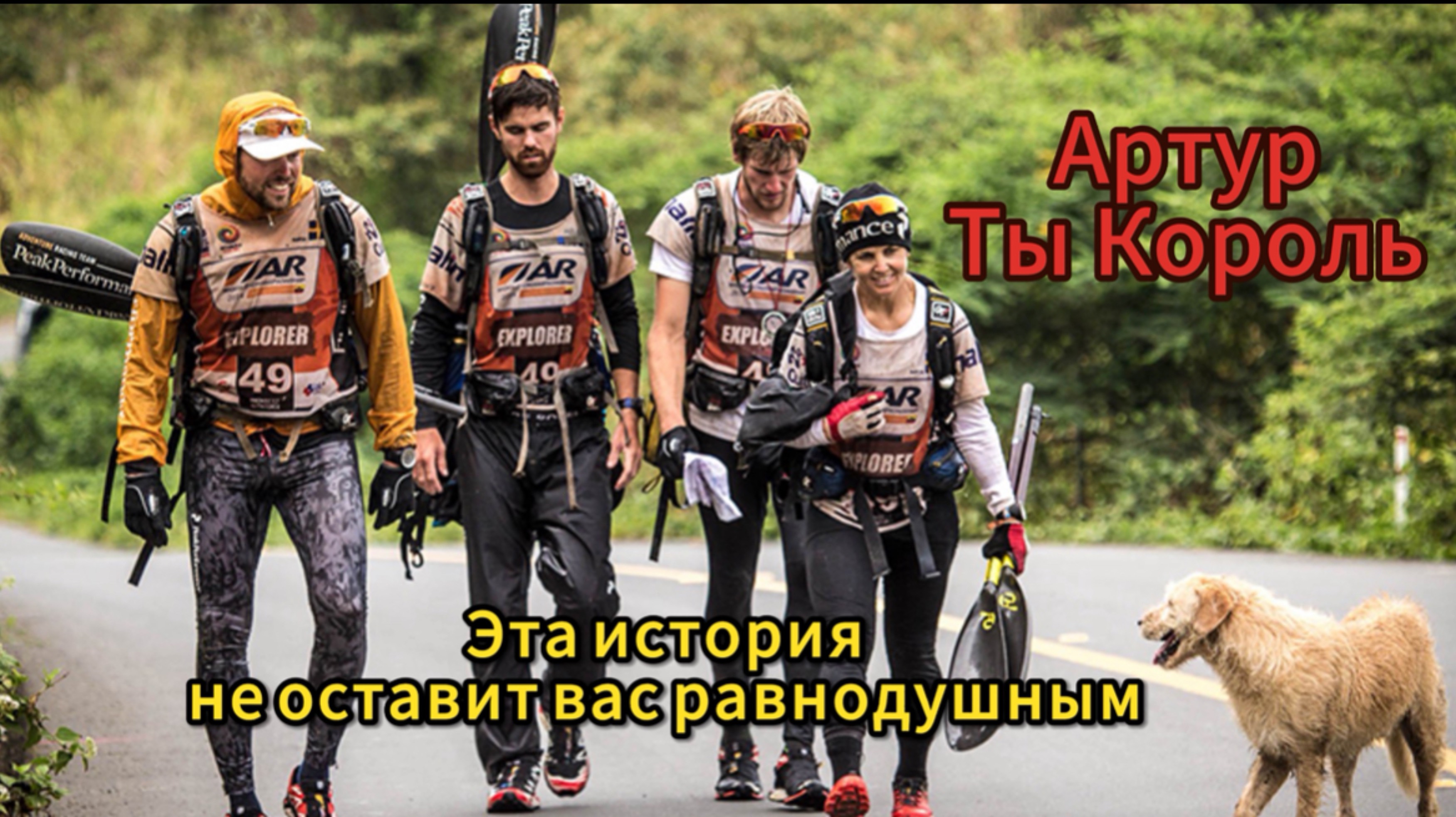 Замечательная история про пса - Артур