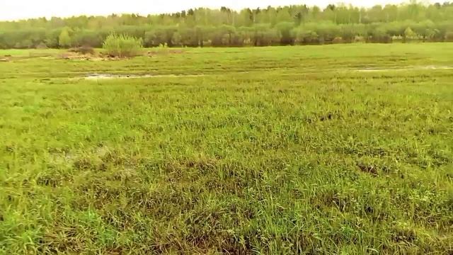 21.05.25 г Прогулка вдоль Туры до белого лебедя  🦢🦢🦢🦢