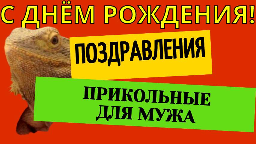 Прикольные поздравления с днём рождения мужу