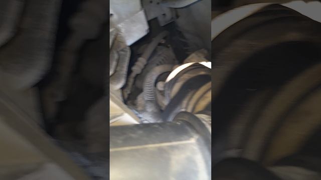 ctuk DVS.mp4