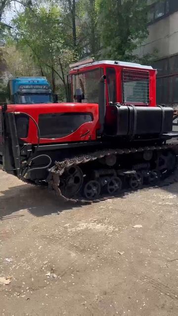 WhatsApp Video 2025-05-12 at 12.17.43