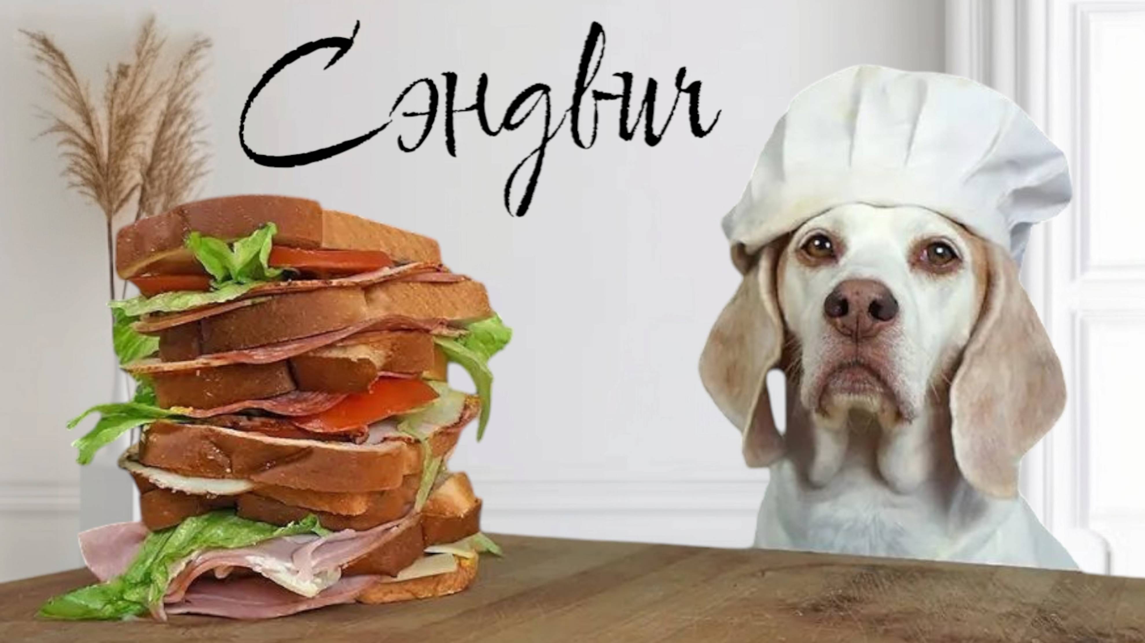 Собачка повар готовит сэндвич