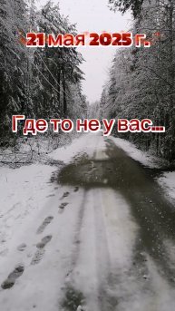 ПРИРОДА ШИКАНУЛА! 21.05.2025 Г.