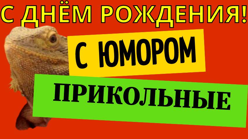 Прикольные поздравления с днём рождения с юмором