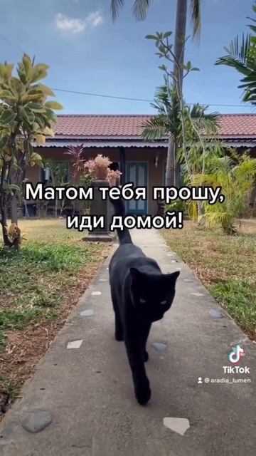 #мемы #смешные #юмор #статус #мотивация #цитаты