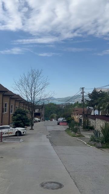 #Жако 
#Чихуахуа 
#Сочи 
#Жизнь Сочи 
#Животные Сочи 
#Природа Сочи 
#Кайф Сочи 
#Василиса
Ставь 👍