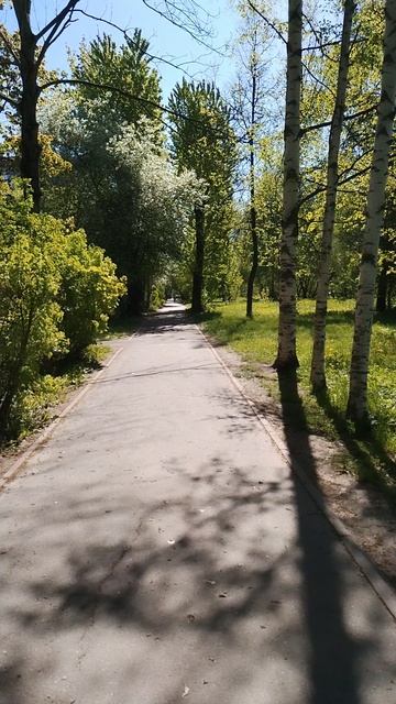 Тепло и солнечно, иду по дорожке, 21 мая 2025.