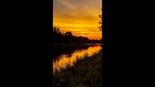 "Yellow evening" – GleamCat