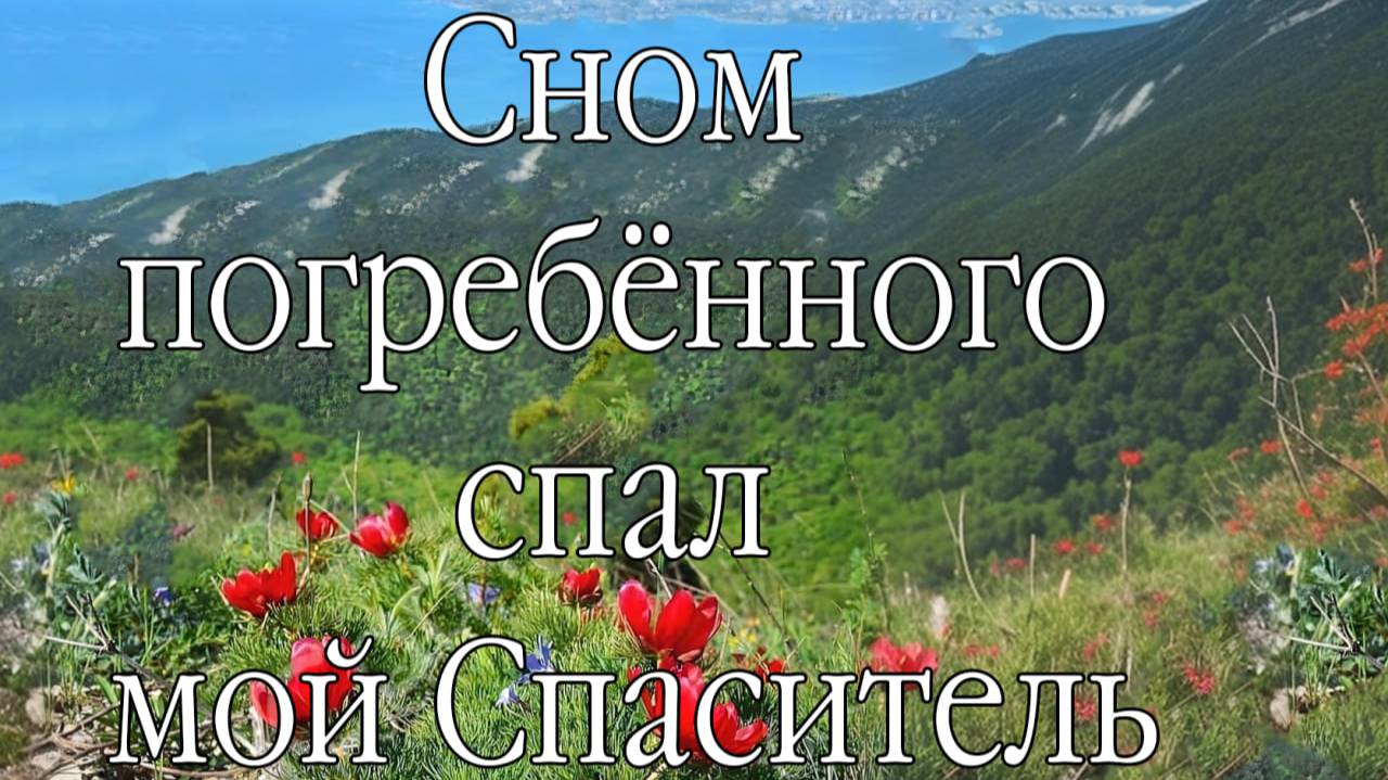 Сном погребённого  пение с оркестром