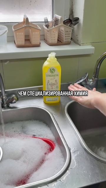 Регистрация на бесплатный марафон по ссылке👇🏻