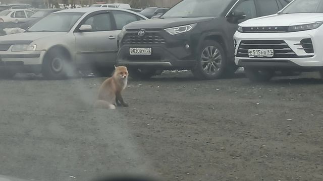 1000007302.mp4