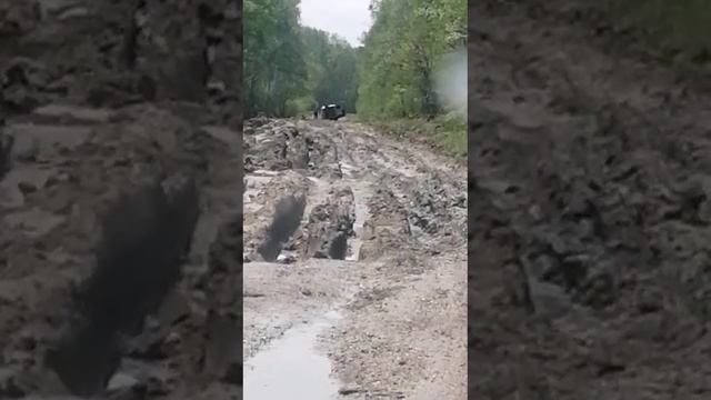 Проверяющие увязли на дороге, которую приехали осмотреть, в Приморье.
