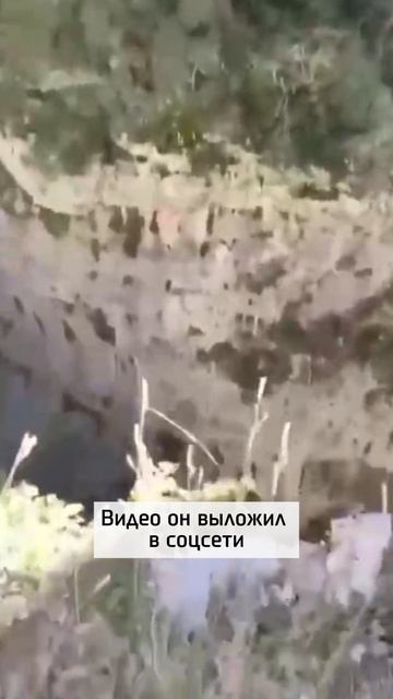 Видео ценой 200 тысяч евро