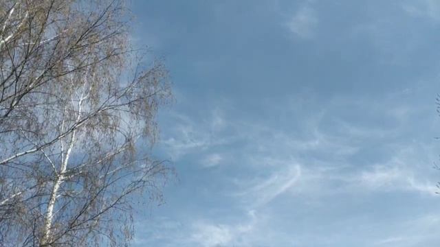 Радоница...