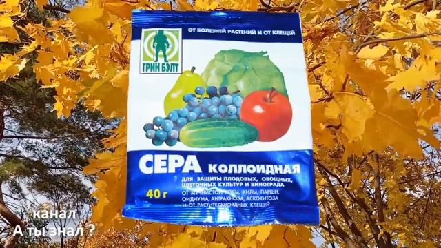Удаляет грибок ногтей мгновенно, как ластик ! Простая ?