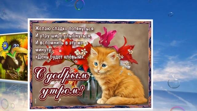 С добрым утром ! С новым днем !