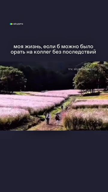 Ах, если бы сбылась моя мечта… #работа